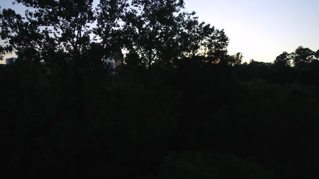 piedmont 공원에서 애틀랜타 시내를 밝히기 위해 웅웅거리며