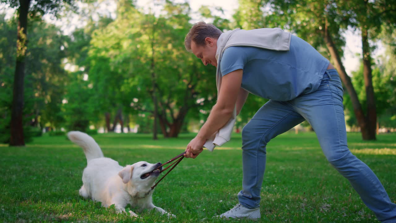 장난스러운 개가 치아에서  ⁇ 줄을 잡고 놀고 있다. 미소 짓는 남자가 공원에서  ⁇ 줄을 당기고 있다.