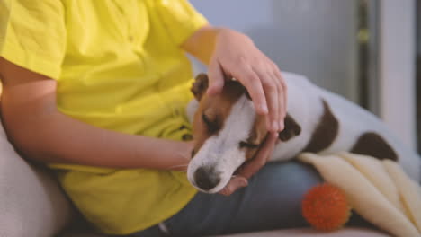 Boy-Caresses-His-Sleeping-Dog-Sitting-On-Sofa-In-Living-Room