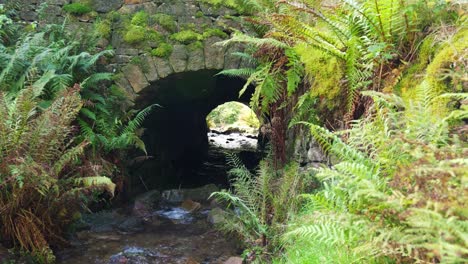 old stone bridge standing over a slow moving moorland stream