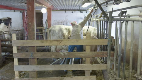handheld - the farmer packing up after milking