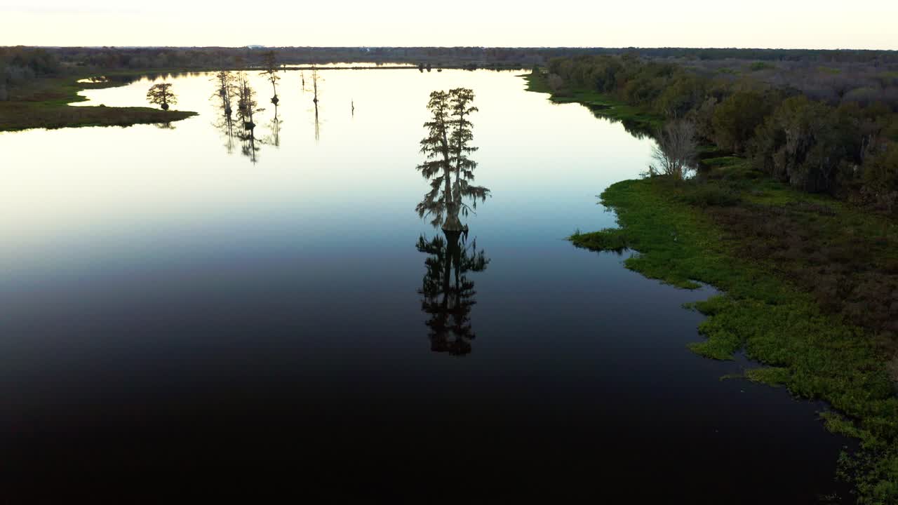 Tall trees reflect in the still waters of Lake Hancock at dawn, creating a serene scene. Ideal for environmental projects or nature documentaries