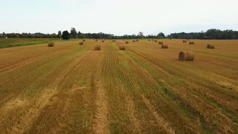 el campo con rollos de heno