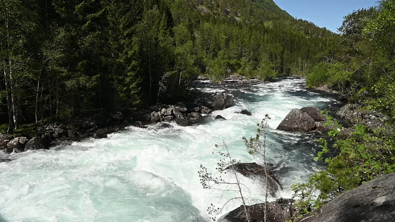 Kinso river flows fast with turquoise meltwater from Hardangervidden through green forest in Husedalen Norway
