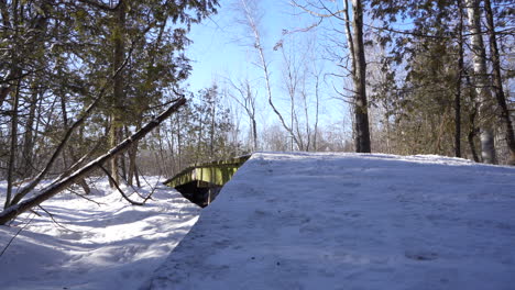 Pan-shot-in-a-nature-parc-by-the-trail