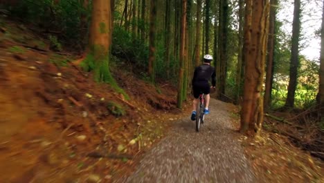 man riding bicycle in forest