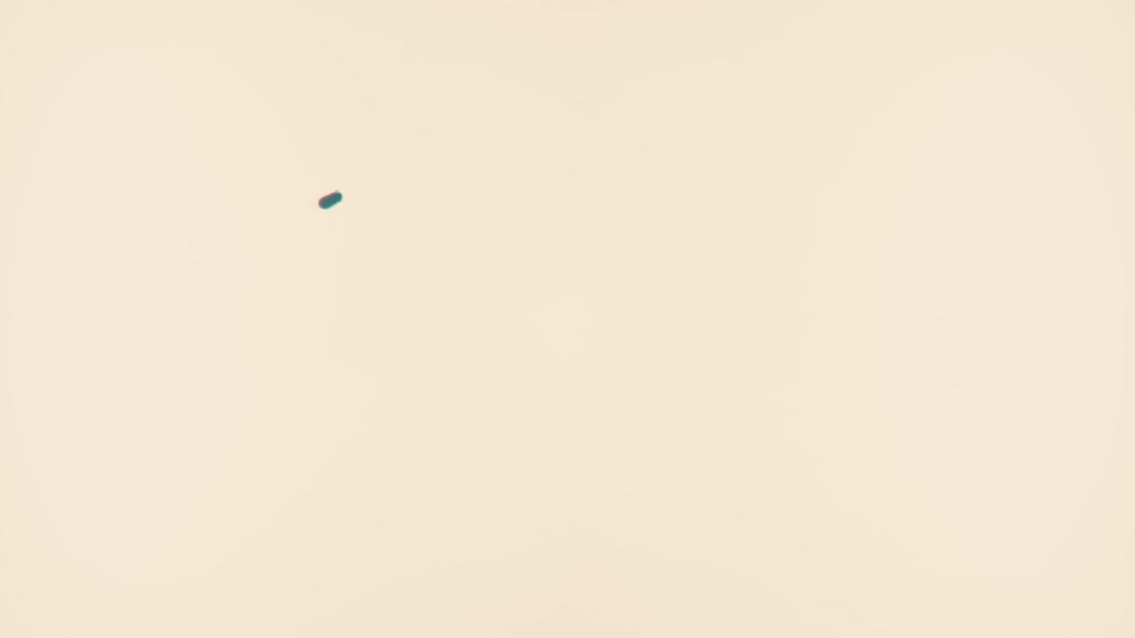 카운트다운 타이머는 6번을 표시합니다.