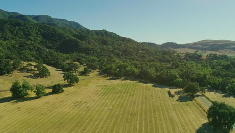 vista de pájaros de la naturaleza - solvang, california