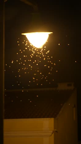 insects swarming around a street lamp at night