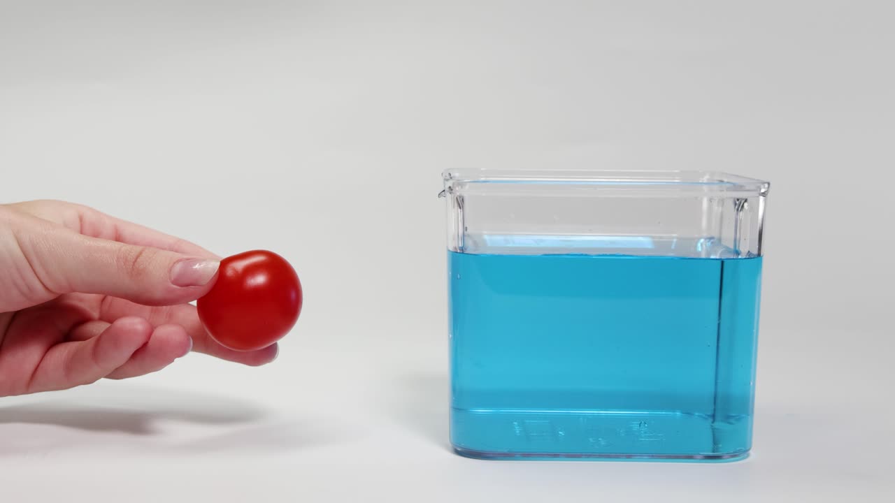 A cherry tomato is dropped into blue liquid, demonstrating buoyancy and density in a controlled environment
