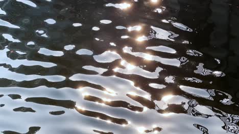 shimmering water surface reflecting sunlight in tokyo, japan, calm and serene