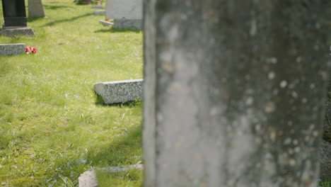 cementerio con lápidas en una zona urbana en un día soleado 10