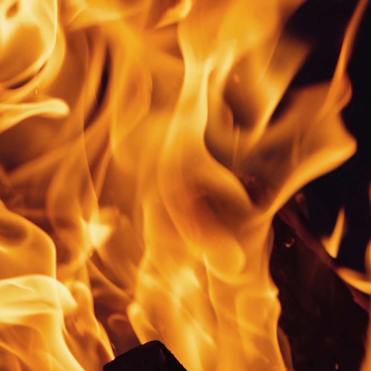 Bonfire burning at night. Flames of fire on black background in slow motion.