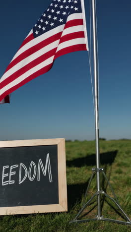 american flag and freedom sign