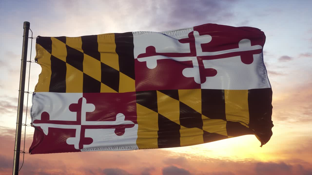 메릴랜드의 발은 해가 지는 동안 깊은 아름다운 하늘에 대항하여 바람에 흔들리고 있습니다.