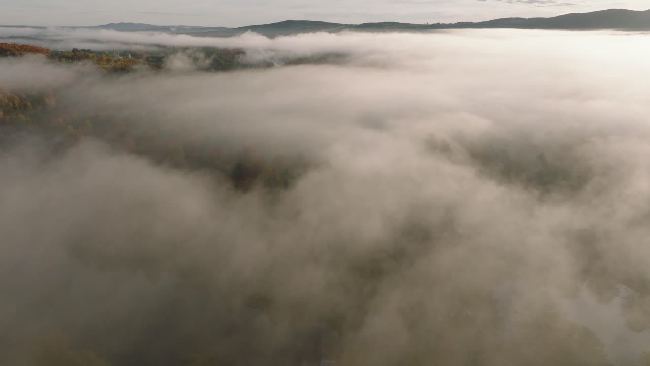 осенний лес, окутанный туманом и облаками, на восходе солнца в шербруке, канада