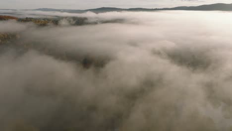 Forest-During-Autumn-Shrouded-By-Fog-And-Clouds-At-Sunrise-In-Sherbrooke,-Canada