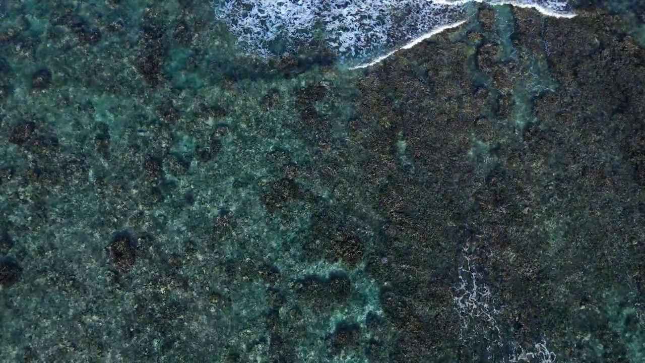 Drone view of gentle waves breaking across a tropical coral reef
