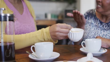 happy african american adult daughter and senior mother drinking coffee, slow motion