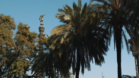 la estatua de colón en barcelona con palmeras en primer plano