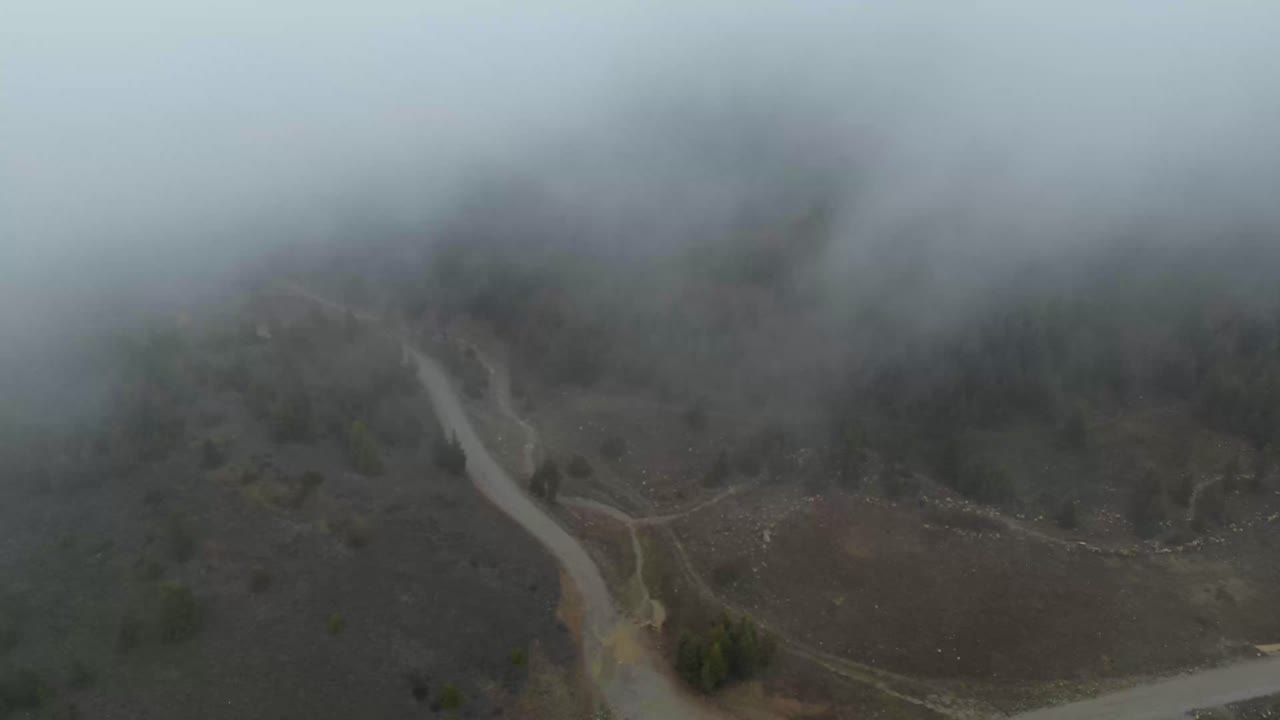 una vista aérea de un bosque exuberante y verde que cubre montañas onduladas, envuelto en una espesa niebla brumosa
