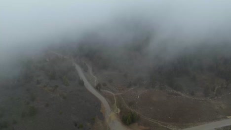 Eine-Luftaufnahme-Eines-üppigen,-Grünen-Waldes,-Der-Sanfte-Berge-Bedeckt-Und-In-Einen-Dichten,-Nebligen-Nebel-Gehüllt-Ist