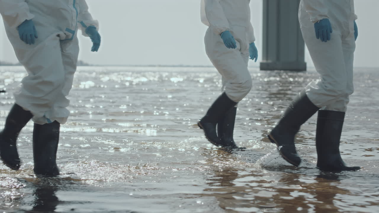Team of Ecologists in Coveralls Walking along Coastline