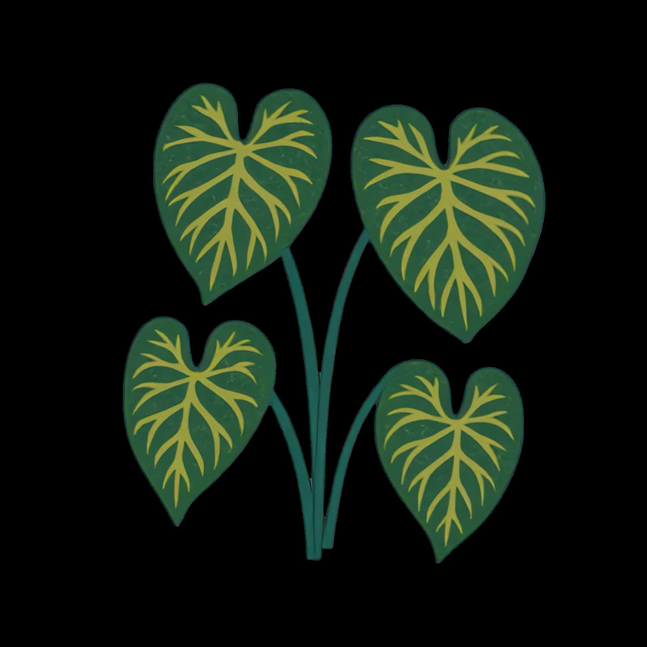 Tropical leaves botanical illustration animation isolated asset, transparent 4K video, alpha
