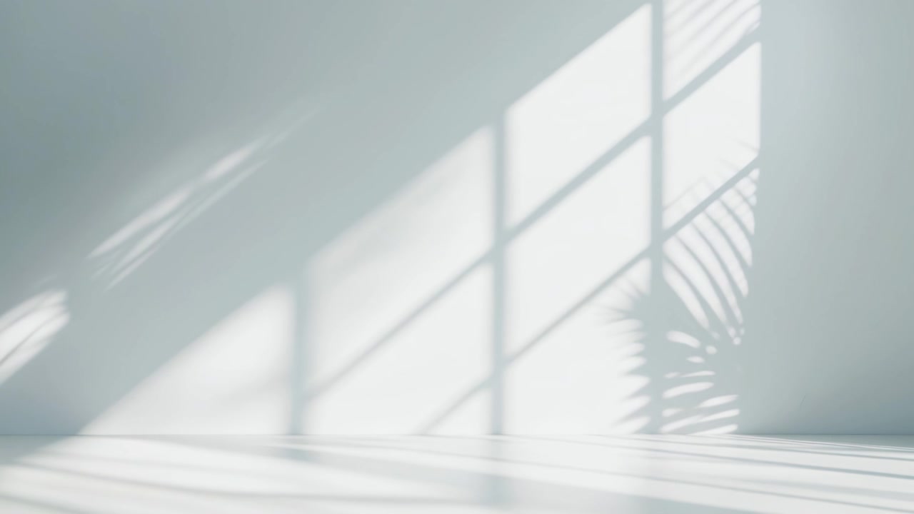 Sunlight Casting Window and Plant Shadows on a Minimalist White Wall