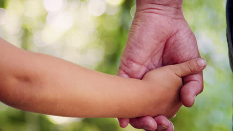 cámara lenta de cerca de los abuelos sosteniendo a los nietos de la mano en una caminata en el campo
