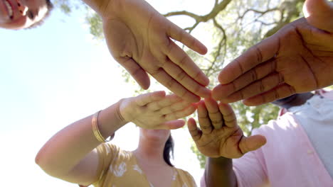 Joining hands outdoors, diverse friends showing unity and teamwork