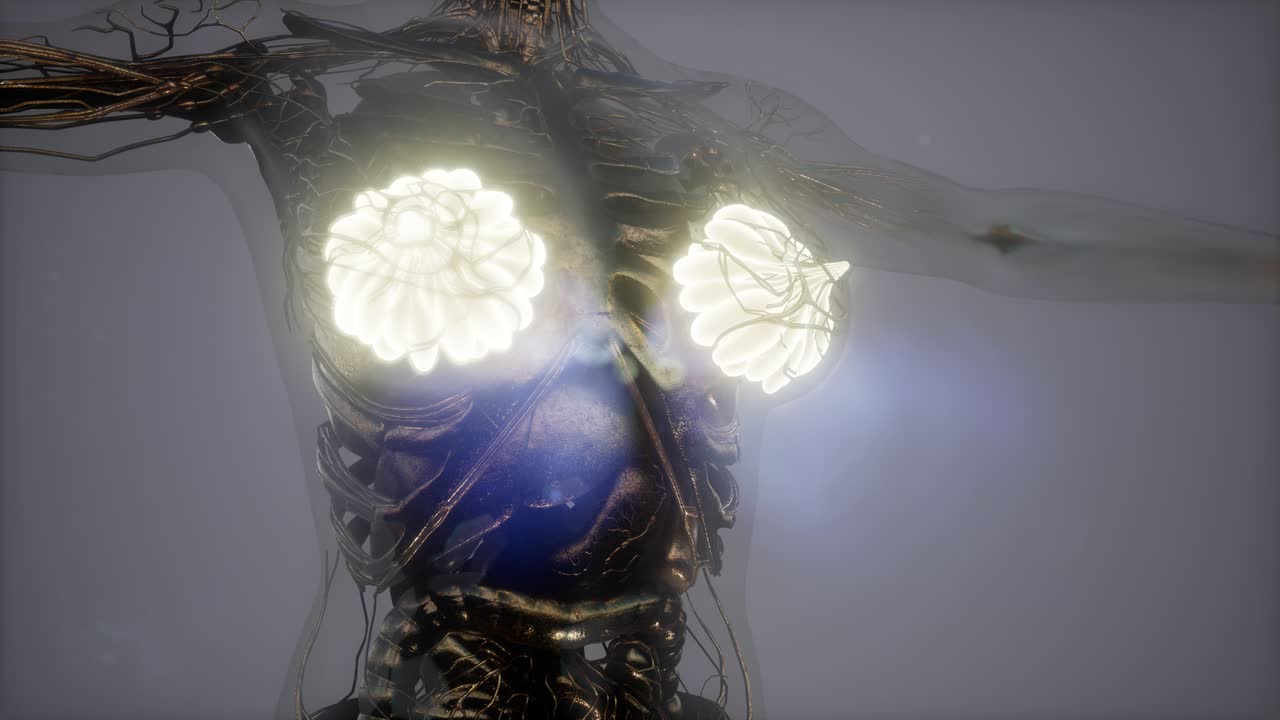 cuerpo humano con brillo visible glándula mamaria