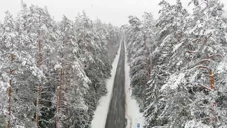 Interminable-Camino-Asfaltado-En-El-Bosque-Invernal-Durante-Las-Nevadas,-Vista-Aérea-De-Drones