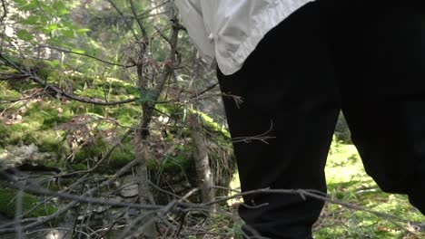 person hiking in the woods