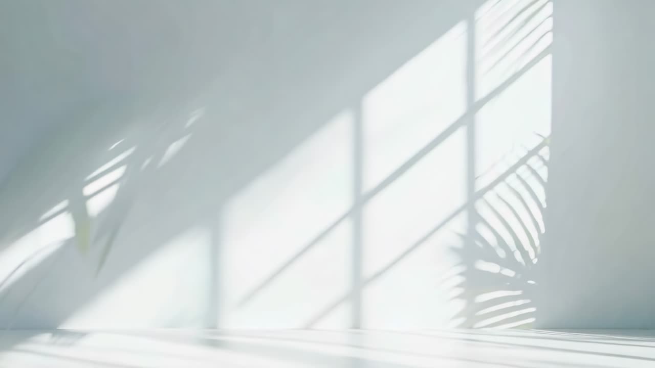 Minimalist video concept with soft shadows of plants on a white wall