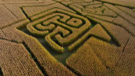aerial view of an intricate corn maze