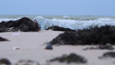 Empty-glass-bottle-on-the-beach,-trash-and-waste-litter-on-an-empty-Baltic-sea-white-sand-beach,-environmental-pollution-problem,-overcast-day,-low-medium-shot-through-the-dry-seaweed