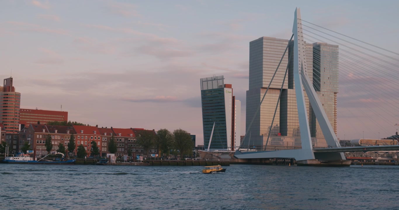 Puente atirantado moderno de Róterdam y el horizonte de rascacielos contemporáneos al anochecer. Pequeño barco de pasajeros flotando en el río en una ciudad europea al crepúsculo.