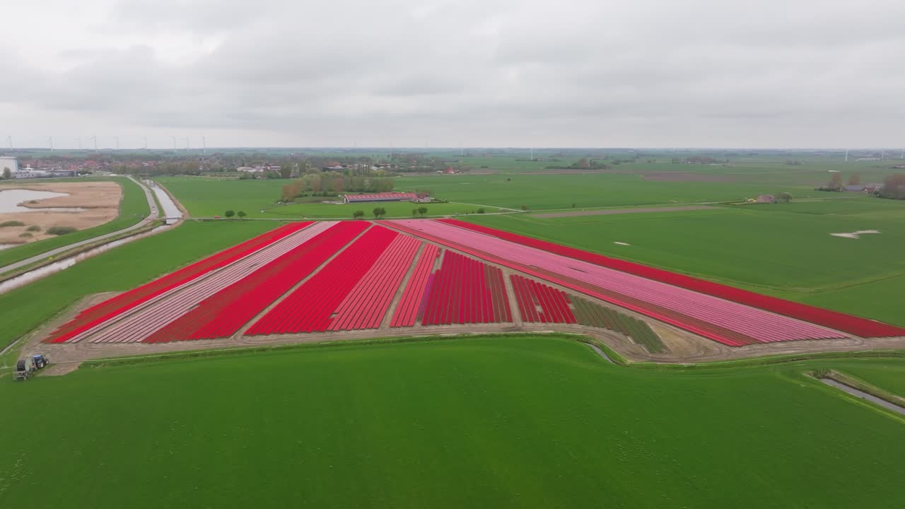 Flyfoto av levende blomsterbed under skyet himmel i Nederland.