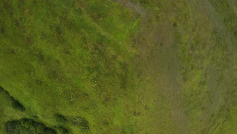 vista aérea de un campo verde y exuberante