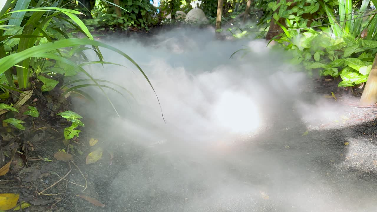 Dense mist forms and spreads along a garden path surrounded by vibrant green vegetation