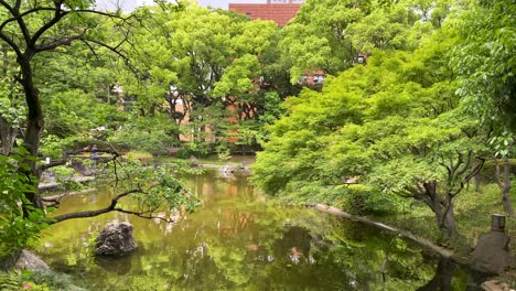 Die-Beste-Aussicht-In-Tokio