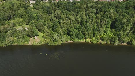 The-shoreline-of-the-lake-is-covered-with-green-trees-on-a-sunny-summer-day