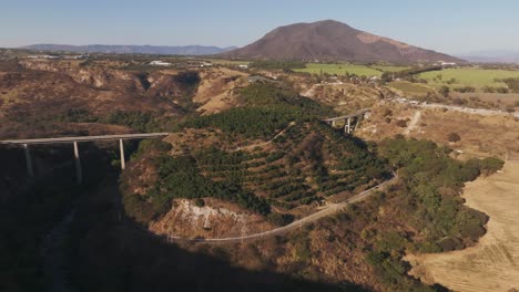 huerta de aguacate en la colina en la carretera nacional 54 cerca del pueblo de platanar
