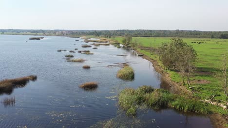 Exploring-the-riverside-and-meadow,-a-drone-takes-flight,-capturing-the-beauty-of-natural-elements-set-against-the-backdrop-of-a-sky-painted-with-drifting-clouds