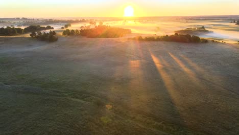 aerial shot of a foggy meadow with golden sunbeams shining through trees and long cast shadows at dawn