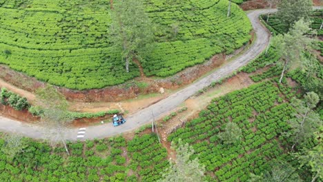 Tuktuk-Conduciendo-A-Través-De-Plantaciones-De-Té-En-El-País-De-Sri-Lanka.