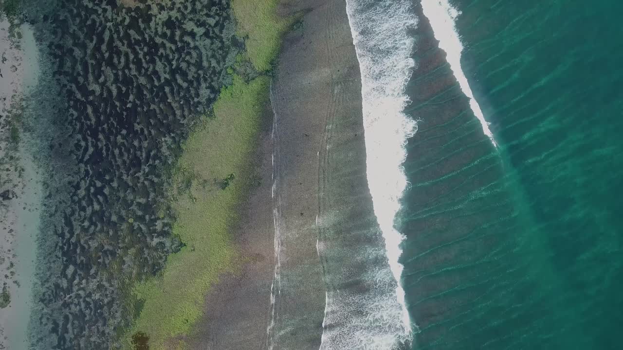 인도네시아 발리의 다채로운 암초 위로 공중 비행