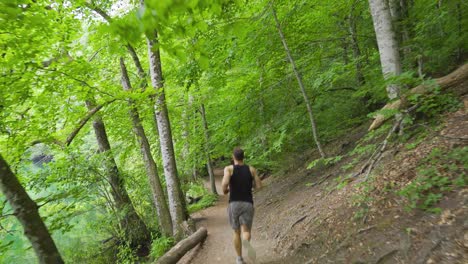 Laufen-Zwischen-Den-Bäumen-Im-Wald.