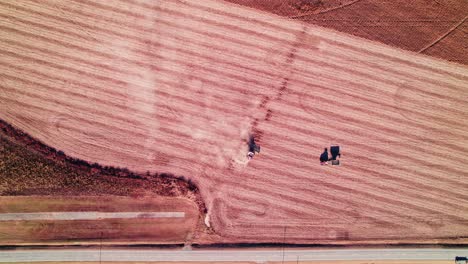 harvesters kicking up dust while processing soybean crops